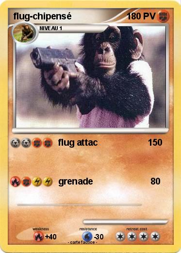 Pokemon flug-chipensé