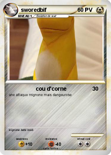 Pokemon sworedbif