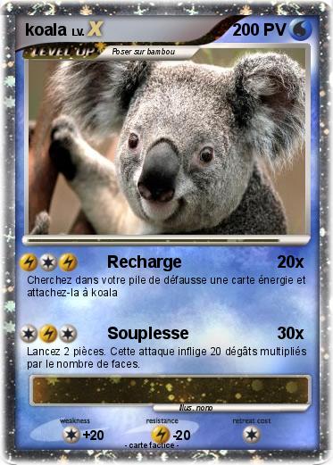 Pokemon koala