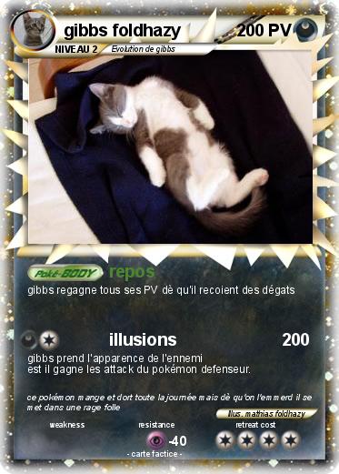 Pokemon gibbs foldhazy