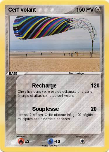 Pokemon Cerf volant