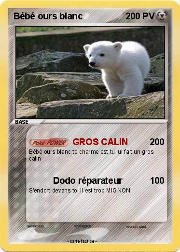Pokemon Bébé ours blanc
