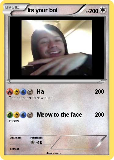 Pokemon Its your boi