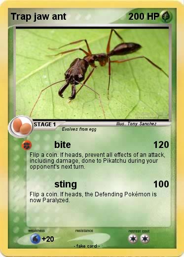 Pokemon Trap jaw ant