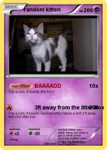 Pokemon random kitten