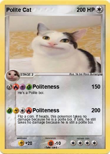 Pokemon Polite Cat