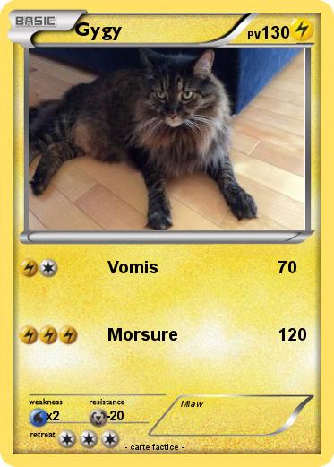 Pokemon Gygy