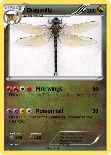 Pokemon Dragonfly