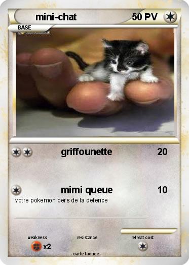 Pokemon mini-chat
