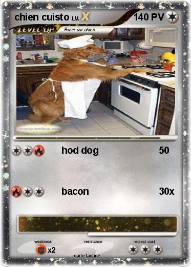 Pokemon chien cuisto