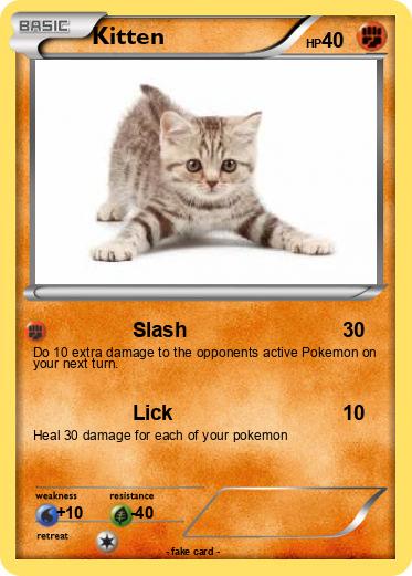 Pokemon Kitten