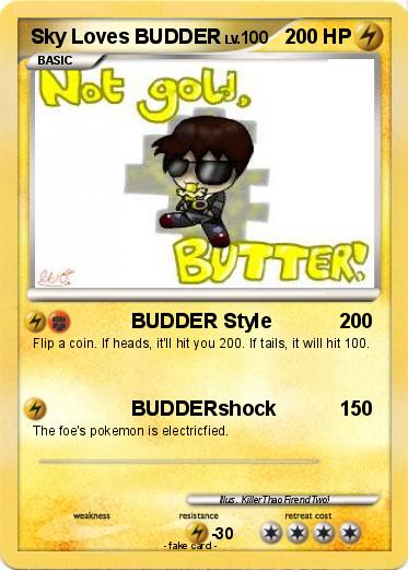 Pokemon Sky Loves BUDDER