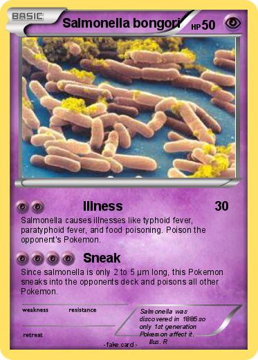 Pokemon Salmonella bongori