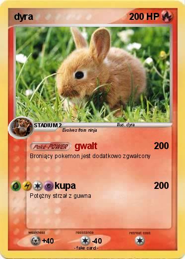 Pokemon dyra