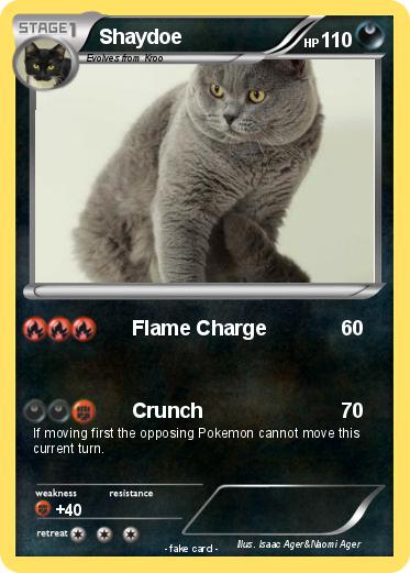 Pokemon Shaydoe