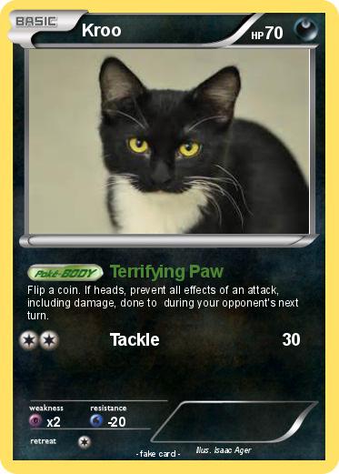Pokemon Kroo