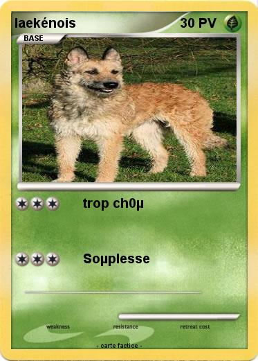 Pokemon laekénois