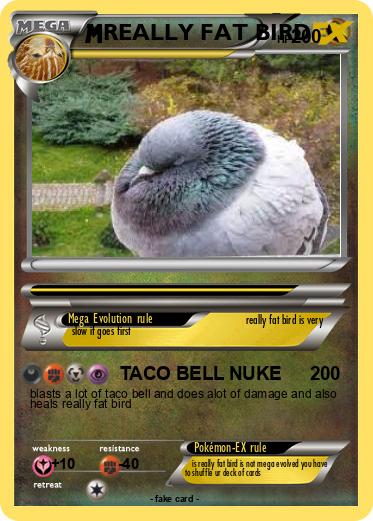 Pokemon REALLY FAT BIRD