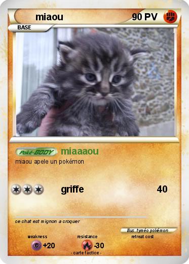 Pokemon miaou