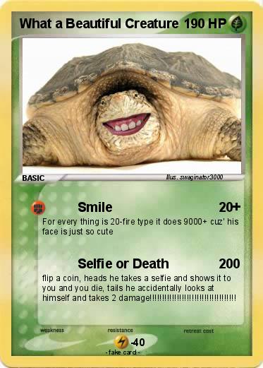 Pokemon What a Beautiful Creature