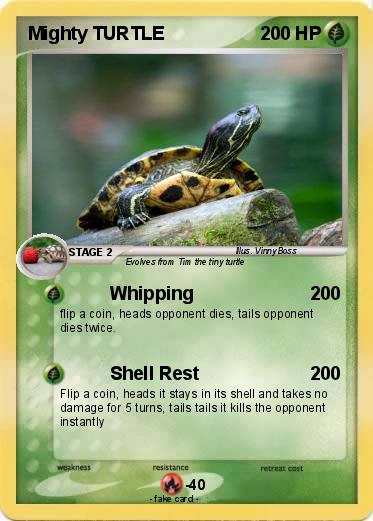 Pokemon Mighty TURTLE