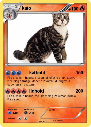 Pokemon kato