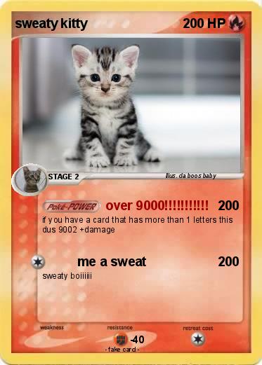 Pokemon sweaty kitty
