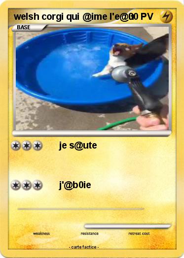 Pokemon welsh corgi qui @ime l'e@u
