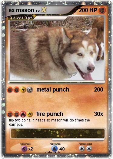 Pokemon ex mason