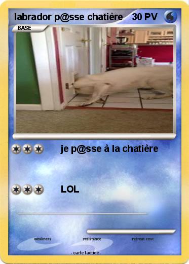 Pokemon labrador p@sse chatière
