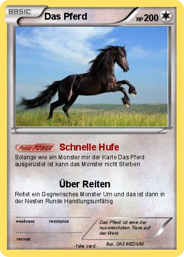Pokemon Das Pferd