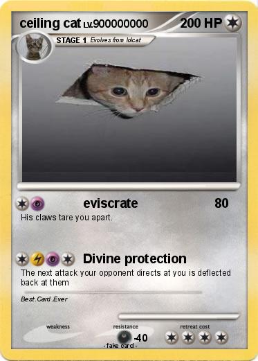 Pokemon ceiling cat