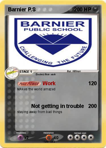 Pokemon Barnier P.S