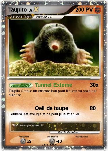 Pokemon Taupito