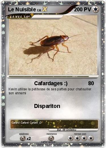 Pokemon Le Nuisible
