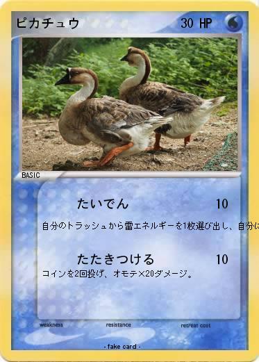 Pokemon ピカチュウ