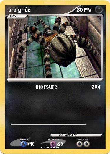 Pokemon araignée