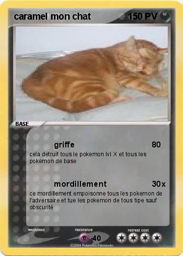 Pokemon caramel mon chat