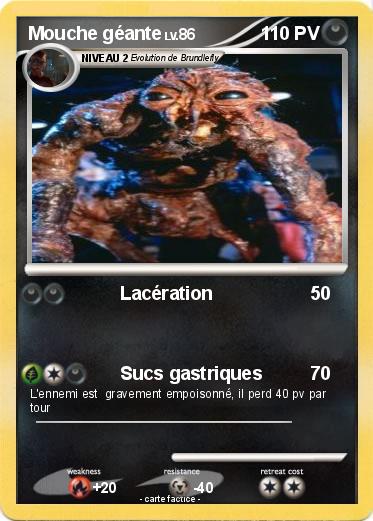 Pokemon Mouche géante