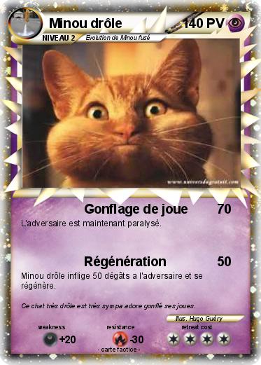 Pokemon Minou drôle