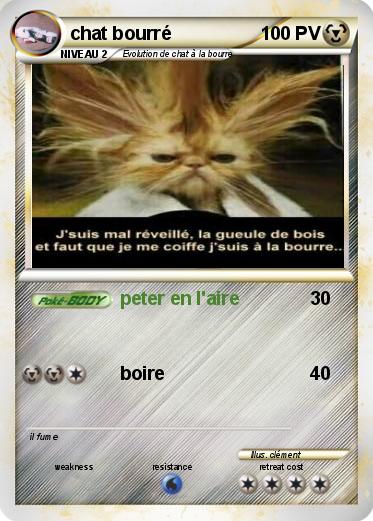 Pokemon chat bourré