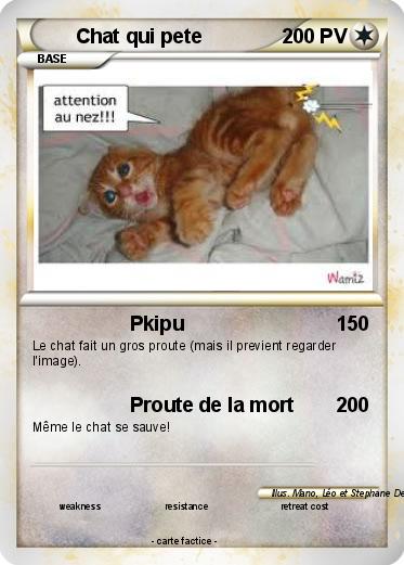 Pokemon Chat qui pete