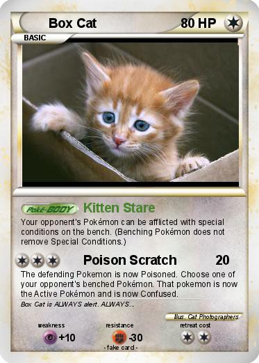 Pokemon Box Cat