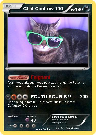 Pokemon Chat Cool niv 100