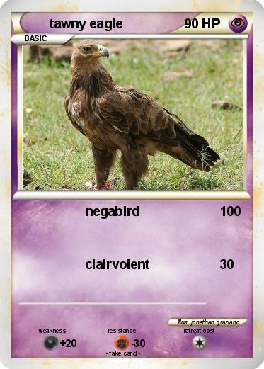 Pokemon tawny eagle