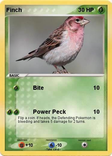 Pokemon Finch