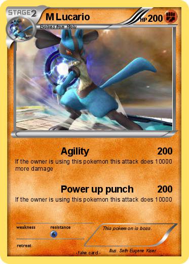 Pokemon M Lucario
