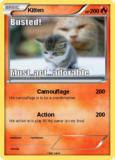 Pokemon Kitten