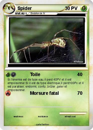 Pokemon Spider