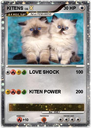 Pokemon KITENS
